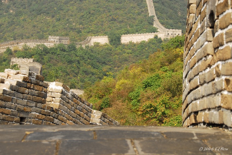 Roller coaster.jpg - Mu Tian Yu